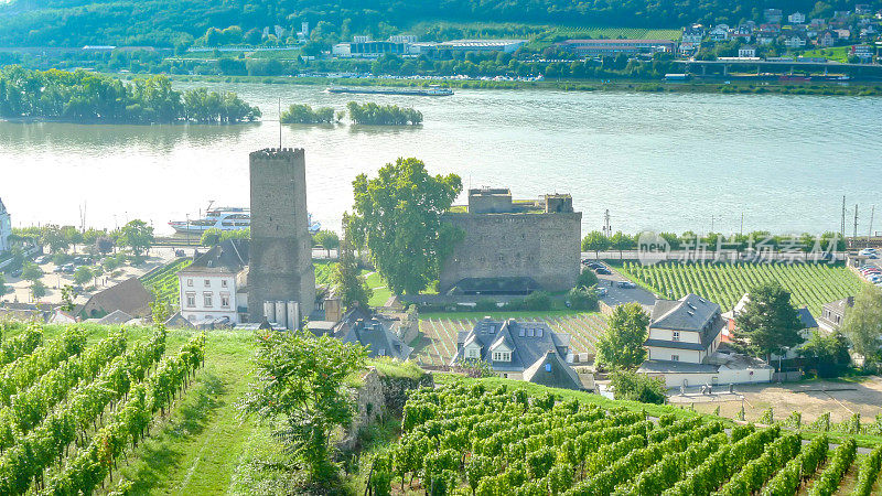 从德国Rüdesheim Niederwalddenkmal的缆车上俯瞰葡萄园。